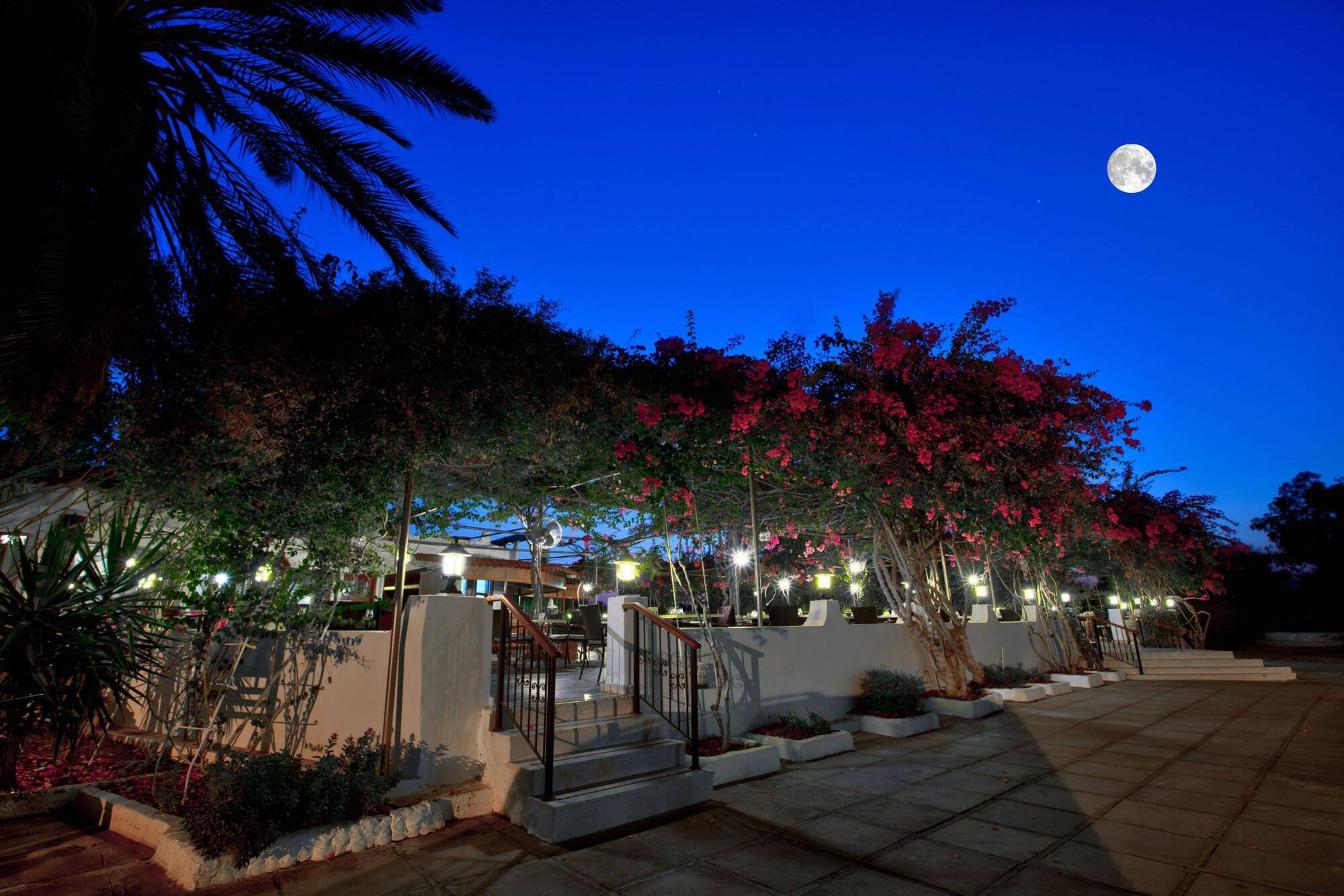 Merit Cyprus Gardens Holiday Famagusta  Buitenkant foto